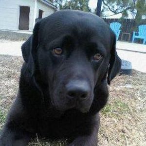 Meet your Posher, Terrence